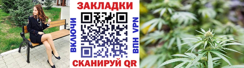 Где продают наркотики Юрьевец Псилоцибиновые грибы  КОКАИН  Меф  КЕТАМИН  Марихуана 