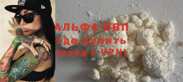 амф Новодвинск